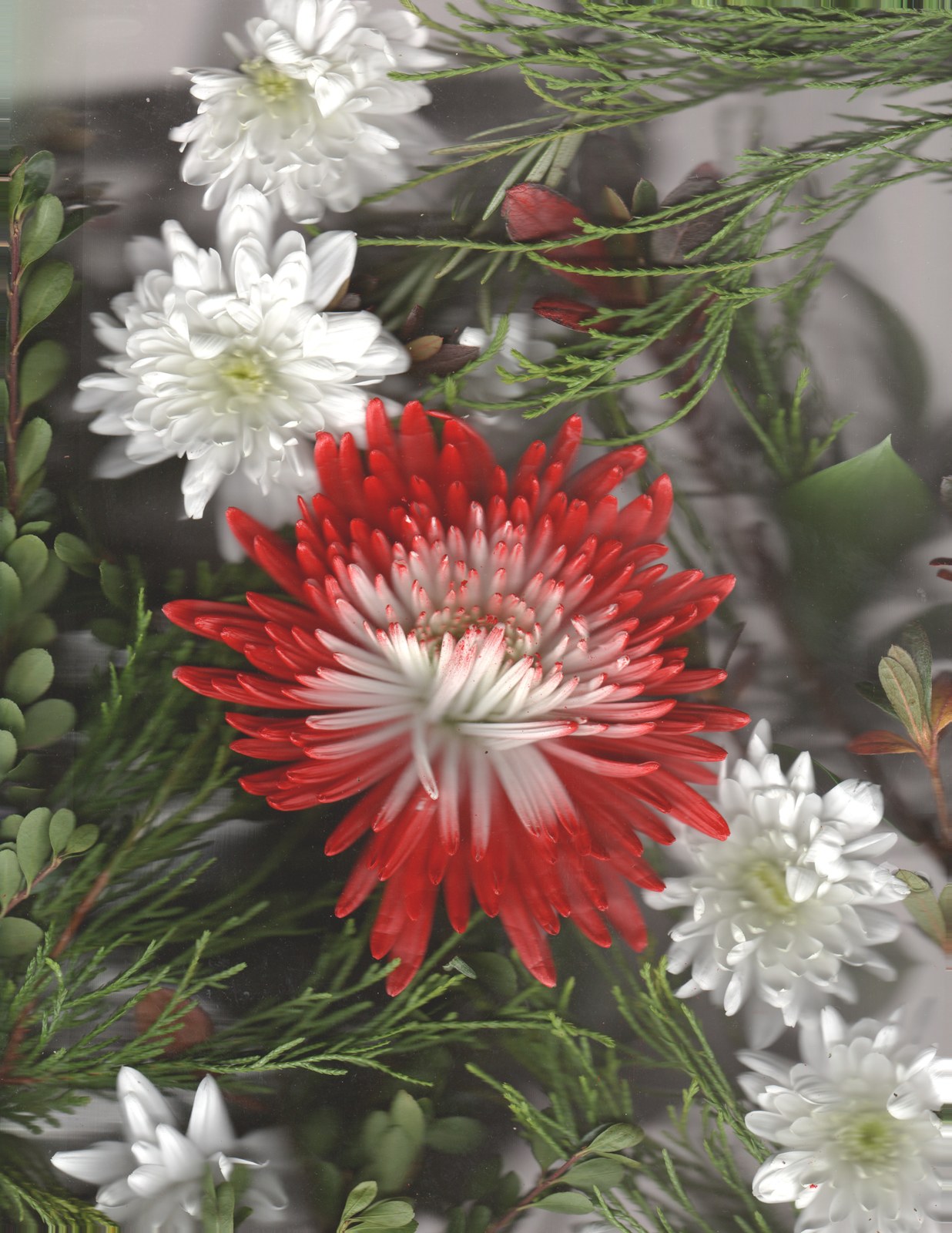 Winter floral arrangement — archival scanography print