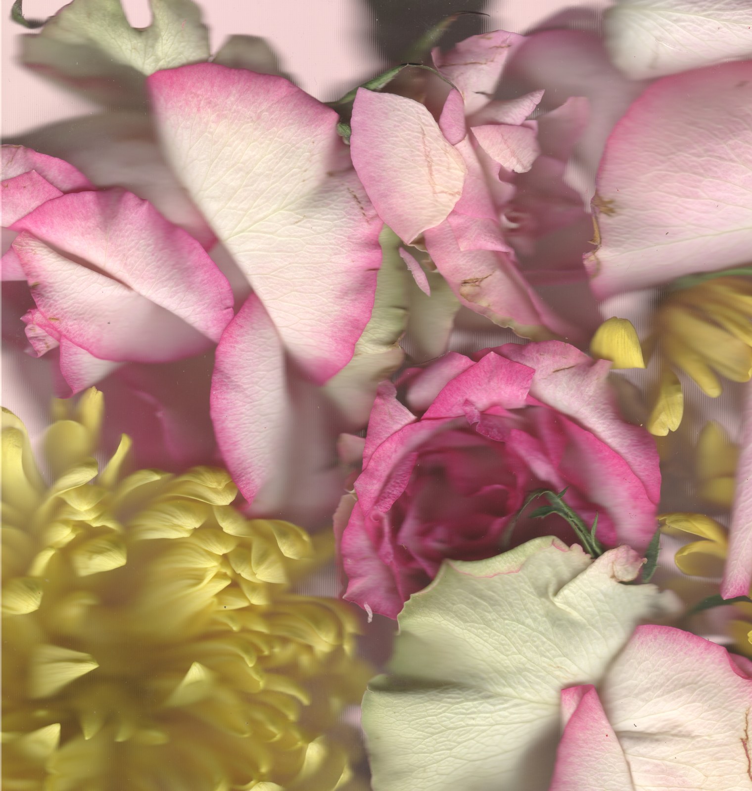 Landscape wedding flower arrangement — bouquet preservation scanography print