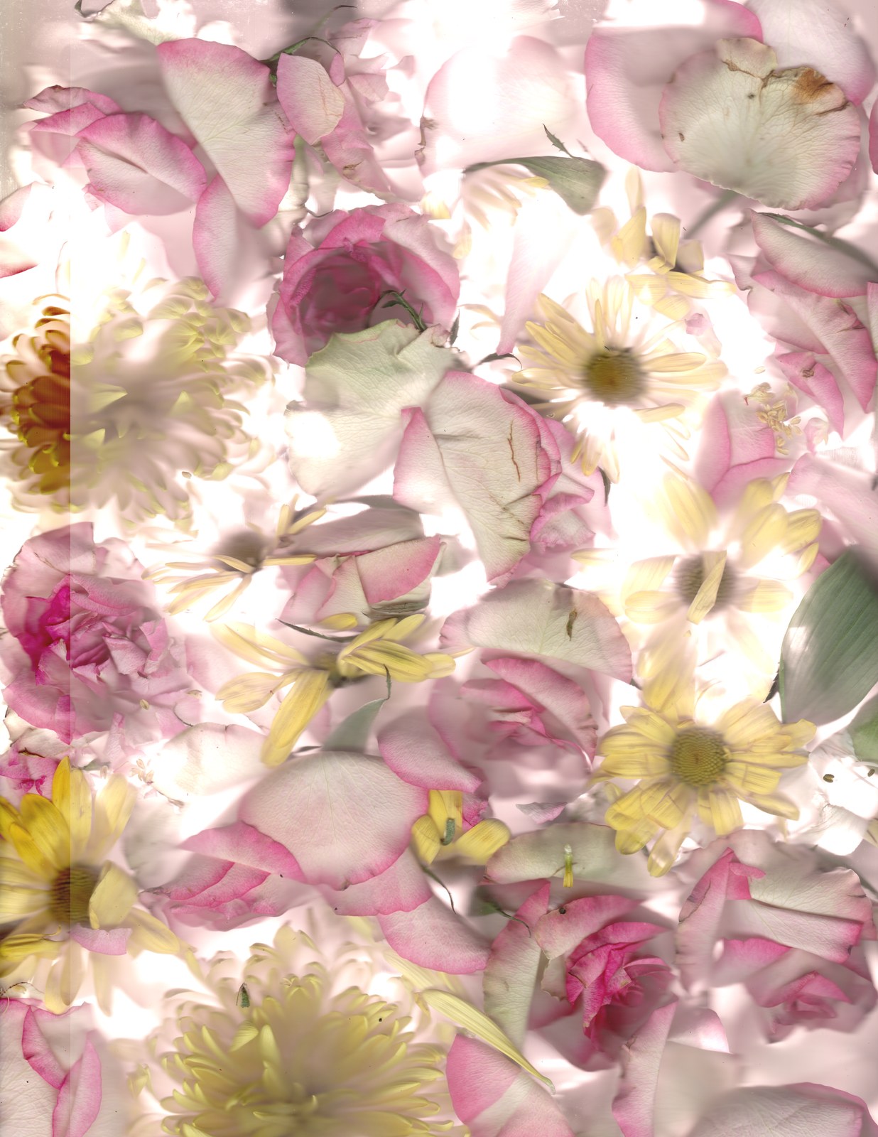 Horizontal wedding flower bouquet preservation scanography print