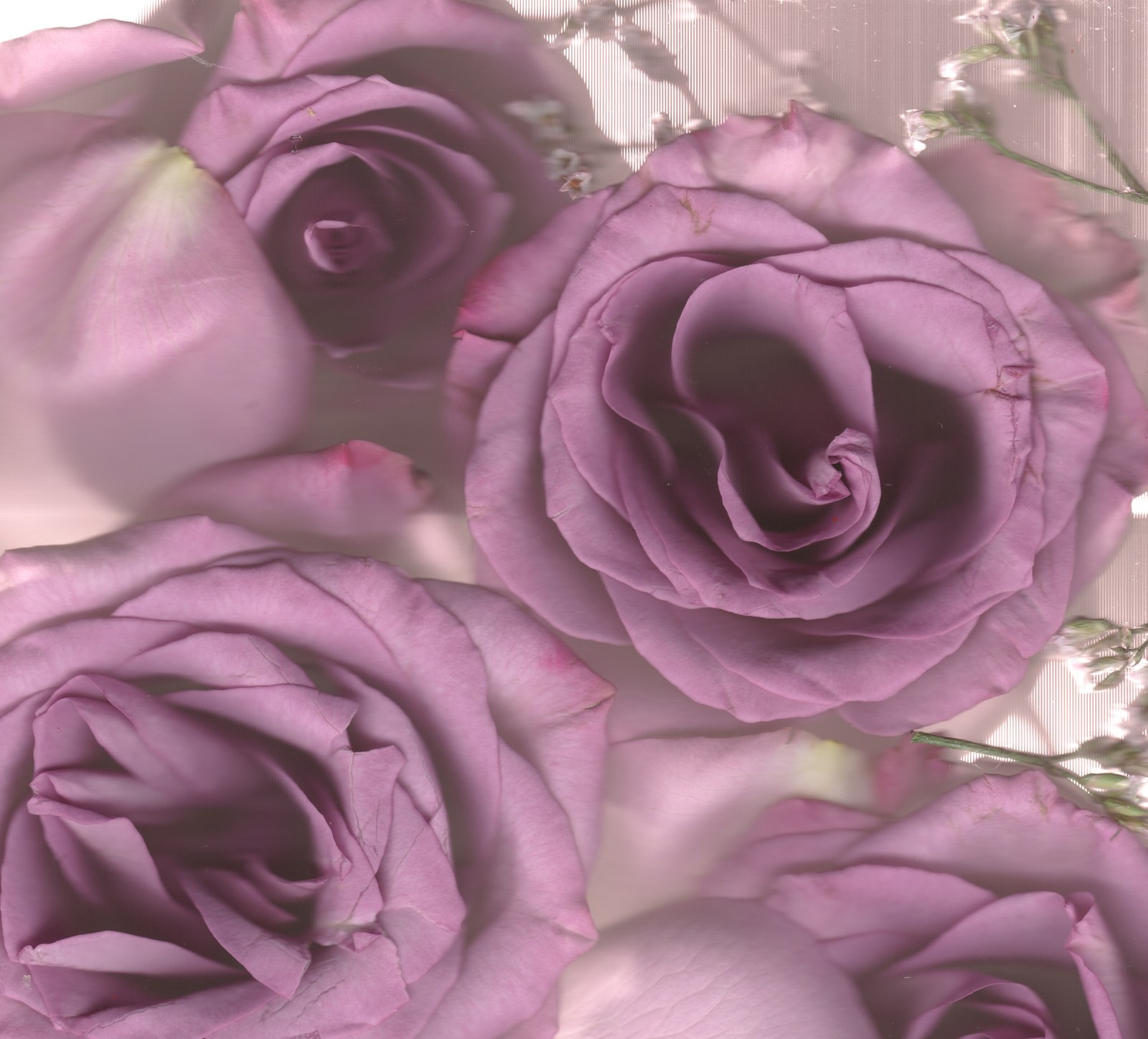 Flower arrangement preservation print — wedding bouquet scanography art