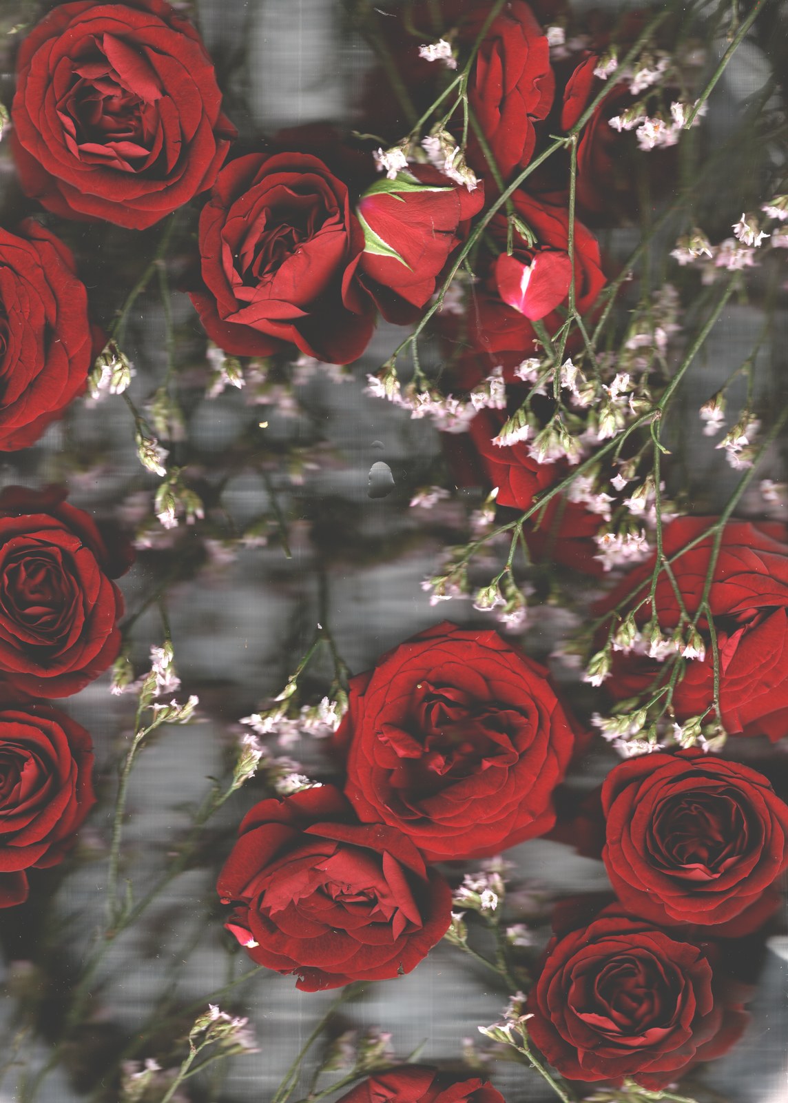 Floral detail close-up — wedding bouquet preservation art scanography