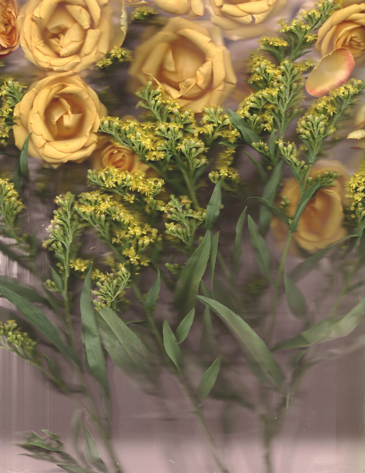 Floral botanical scanography print — wedding keepsake preservation art