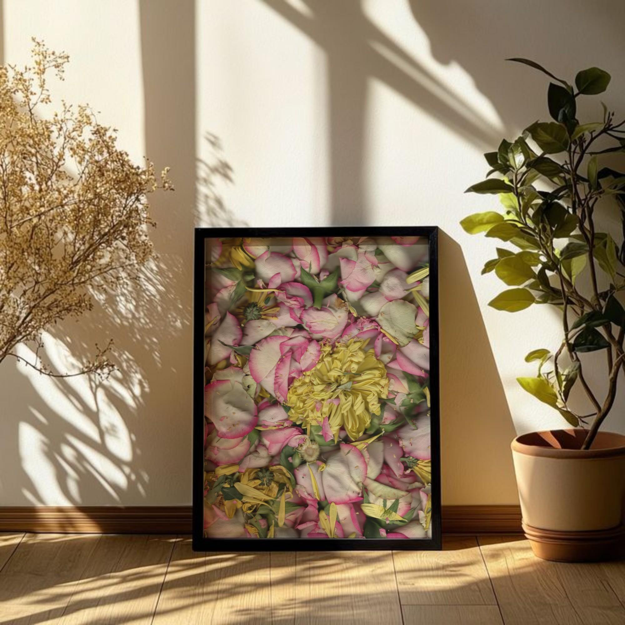 Framed scanograph in situ — pink petals