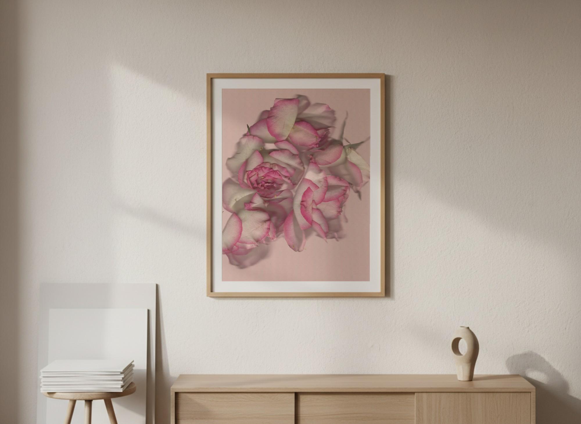 Framed pink rose print on wall above dresser